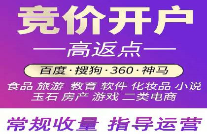 顶级SEM运营公司案例分析